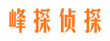 中站出轨调查